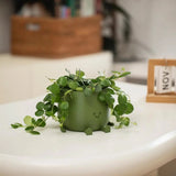Self Watering Flower Pot with Cute Face Legs