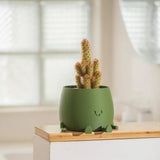 Self Watering Flower Pot with Cute Face Legs