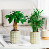 Self-Watering Textured Round Planter Pot