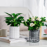 Self-Watering Textured Round Planter Pot