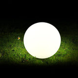 Solar Globe LED Light with Waterproof Design