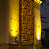 Solar LED Spotlight with Ground Stake