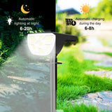 Solar Landscape Light with Adjustable Brightness
