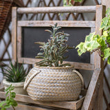 Textured Ceramic Flower Pot with Rope Handles