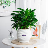 Textured Self Watering Round Planter