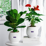 Textured Self Watering Round Planter