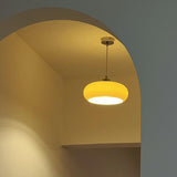 Vintage Glass Dome Ceiling Pendant Light