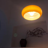 Vintage Glass Dome Ceiling Pendant Light