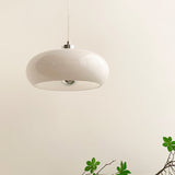 Vintage Glass Dome Ceiling Pendant Light