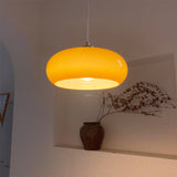 Vintage Glass Dome Ceiling Pendant Light