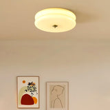 Vintage Round Glass Ceiling Light with Iron