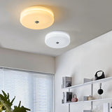 Vintage Round Glass Ceiling Light with Iron