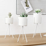 White Ceramic Planter with Tripod Metal Stand