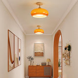 Wooden Dome Glass Semi Flush Ceiling Light