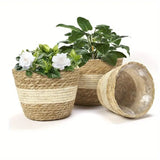 Woven Seagrass Flower Pot Baskets Set of 3