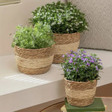 Woven Seagrass Flower Pot Baskets Set of 3