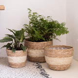Woven Seagrass Flower Pot Baskets Set of 3