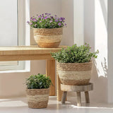 Woven Seagrass Flower Pot Baskets Set of 3