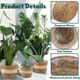 Woven Seagrass Flower Pot Baskets Set of 3