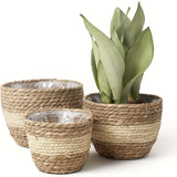 Woven Seagrass Flower Pot Baskets Set of 3
