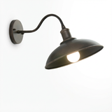 Vintage Industrial Iron Bowl LED Outdoor Wall Light